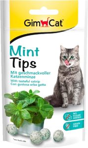 GIMCAT MINT TIPS skanėstai katėms 40g