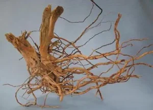 ORBIT Šaknys "Pirštai" kg