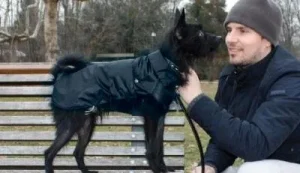 Paltukas nuo lietaus MONTREAL juodas 50cm