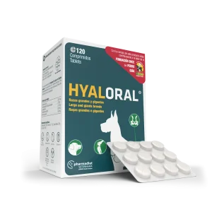 Hyaloral Giant N120
