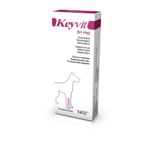 Keyvit 50 mg tabletės šunims N14