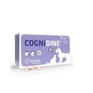 Cognidine N60