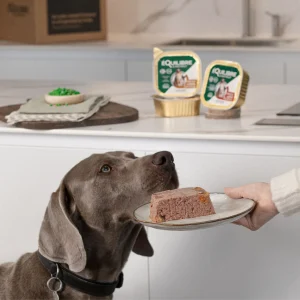 Equilibre Dog Canard (Antiena) 300g konservai