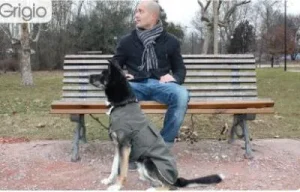 Paltukas nuo lietaus MONTREAL pilkas 25cm