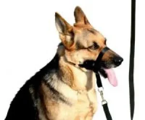 ANTSNUKIS NAILONINĖ JUOSTELĖ NR. 5