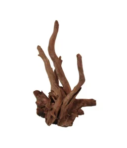 ORBIT Corbo vidutinės šaknys 40-50cm 1vnt