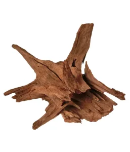 ORBIT Corbo didelės šaknys 50-70cm 1vnt