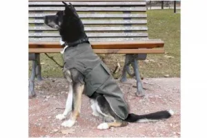 Paltukas nuo lietaus MONTREAL pilkas 30cm