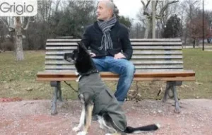 Paltukas nuo lietaus MONTREAL pilkas 35cm