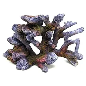 AMTRA REEF ROCK BRANCH rifo akmuo SM2