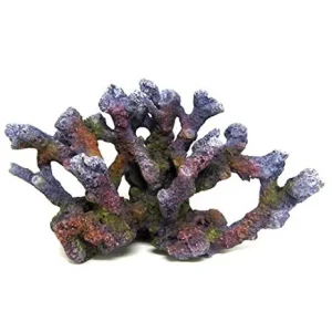 AMTRA REEF ROCK BRANCH rifo akmuo MD1