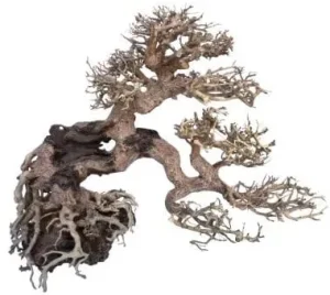 AMTRA dekoracija WOOD ORIENTAL natūralus medis 7 S