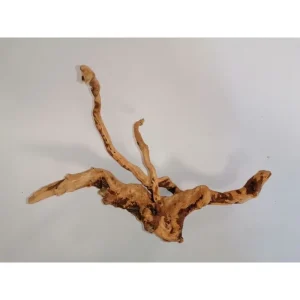 Mažos šaknys "Pirštai" XS 1vnt