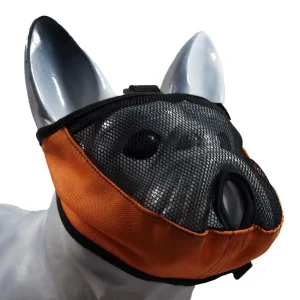 GF Antsnukis brachycefalinėms veislėms komplektas 5vnt