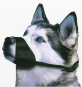 ANTSNUKIAI NAILONINIAI Nr.0