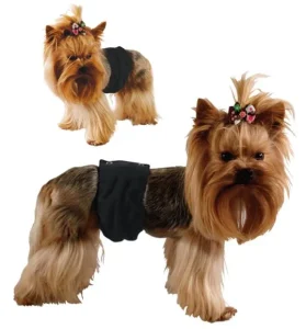 GF Kelnaitės šunims 'Pampas' L 48-60cm