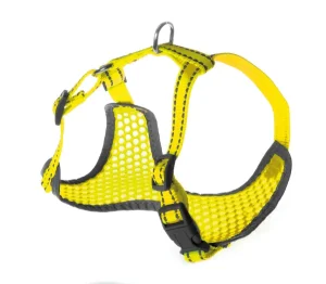 Petnešos Pettorine 36-45x38-52cm