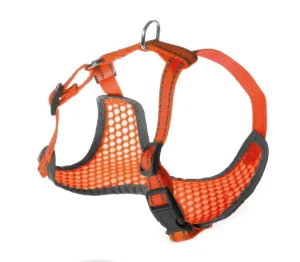 Petnešos Pettorine 32-40x32-45cm