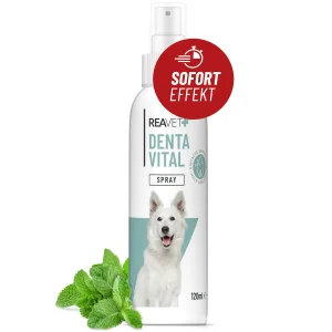 ReaVET denta vital burnos purškiklis šunims - 120ml