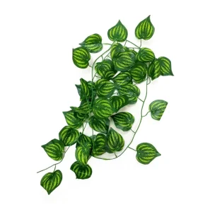 REP NOVA terariumo augalas 230cm