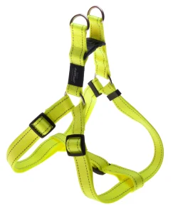 ROGZ petnešos SSJ06H