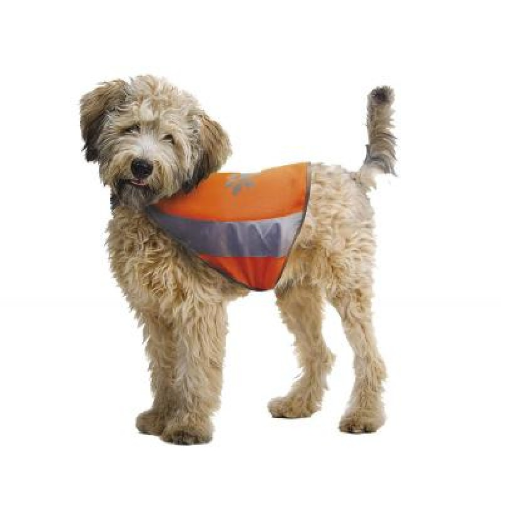 CROCI atspindinti liemenė šuniui M