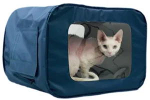 GF Deguonies kamera-krepšys L 78x52x60cm