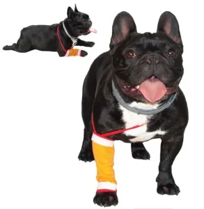 GF Dilbio ir blauzdos tvarstis 1(XS)