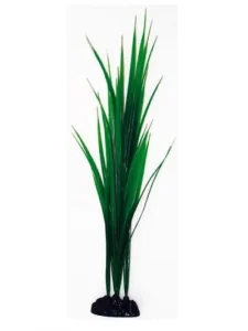 AMTRA BAMBOO augalas vidutinis 17cm 1vnt