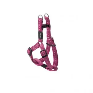 Rogz petnešos SSJ14K