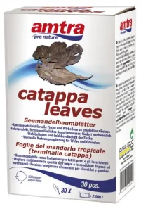 AMTRA CATAPPA lapai 30vnt