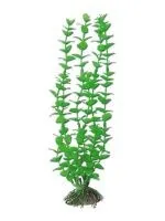 AMTRA ROTALA plastmasinis augalas didelis 23cm 1vnt