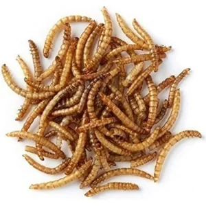 PRODAC Mealworms džiovinti milčiai 100ml
