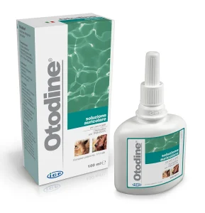 Otodine 100 ml