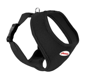 Record juodos petnešos Fast Dog 28-33/41-48cm