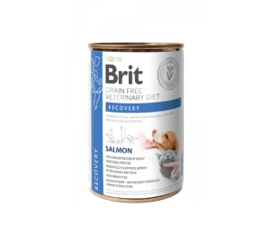 Brit GF Veterinary Diets konservai šunims ir katėms Recovery 400 g