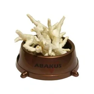 Džiovintos vištos kojos baltos (50vnt)